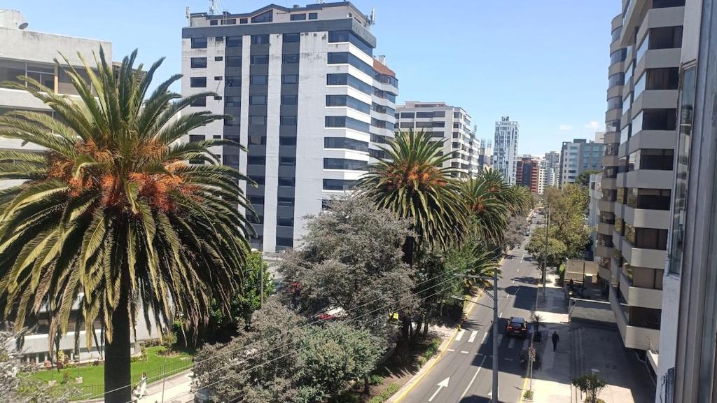 305 Beautiful central suite La Carolina Quito - 2