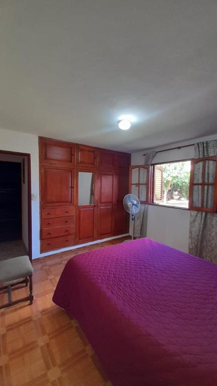 La casa del pino - 3