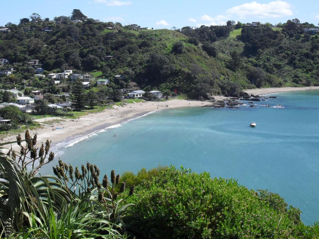 Beach, Palm Heights in Waiheke Island
