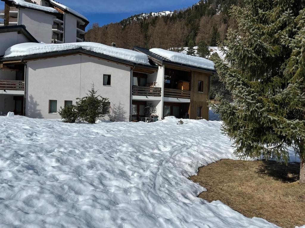 Appartement Ski-in - Ski-out Haute Nendaz - 4 vallees idéal pour votre séjour d été également - 2