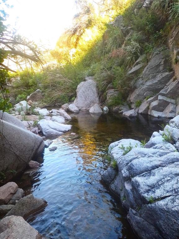 Cabaña Los Espinillos - 3