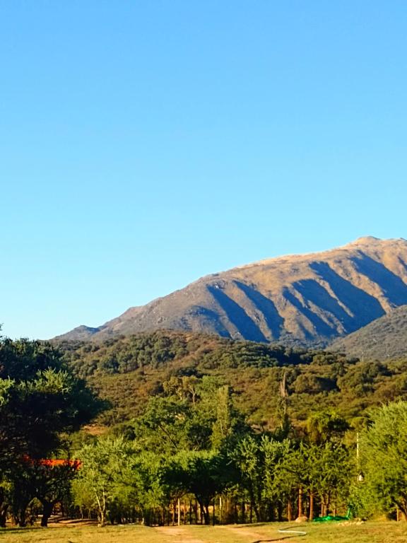 Cabaña Los Espinillos - 4