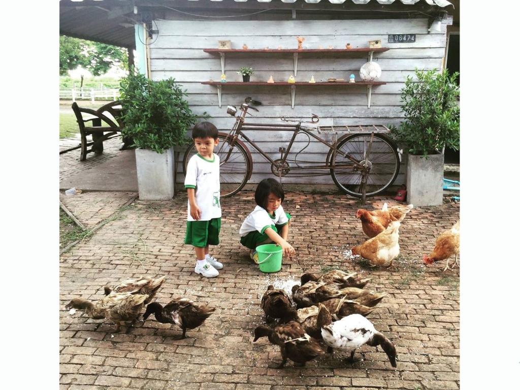 กิจกรรม