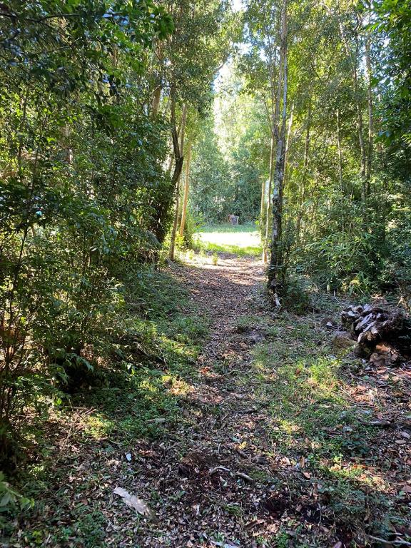 Cabañas del Espacio - 5