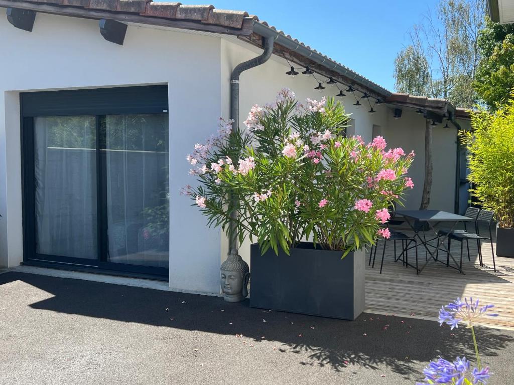 Gujan-Mestras Chez Flo maison 4 places la hume - 2