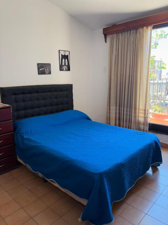 Departamentos Pasini - 3