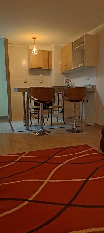 Hermoso departamento a pasos de la plaza de Chillan - 2