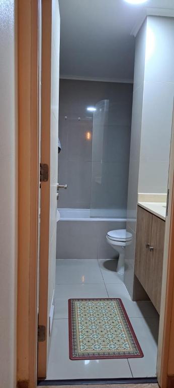 Hermoso departamento a pasos de la plaza de Chillan - 4