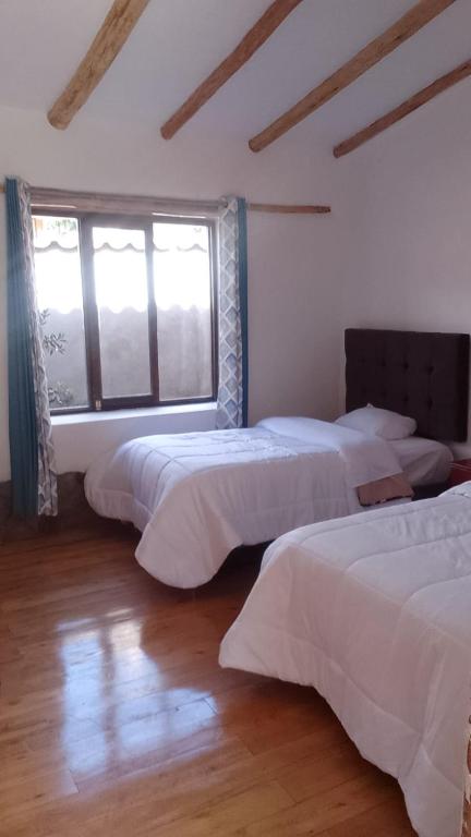 Casa tarawasy hostel - 5