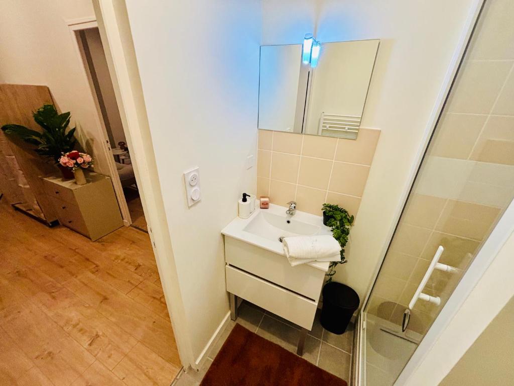 Studio rubis - Proche centre-ville - Saint-Etienne - 3