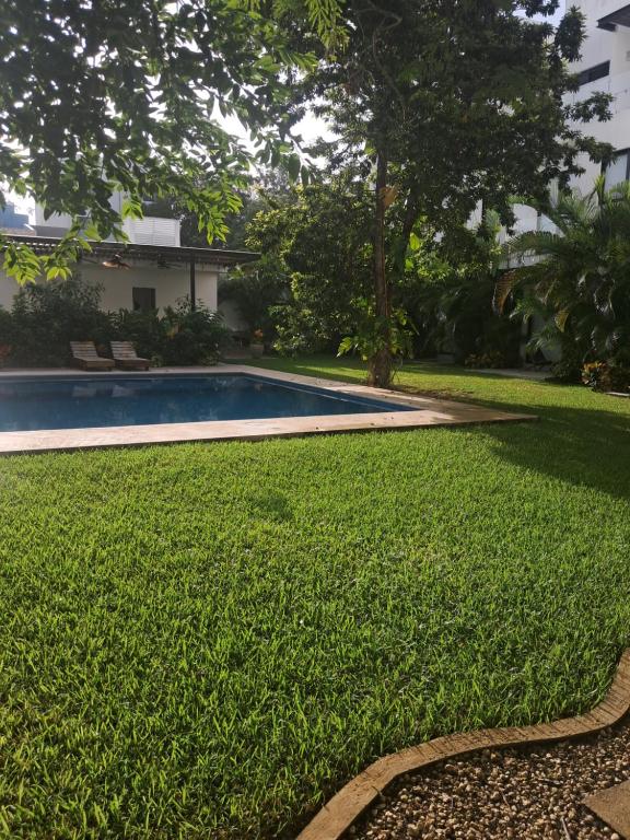 Antal Tulum - 2
