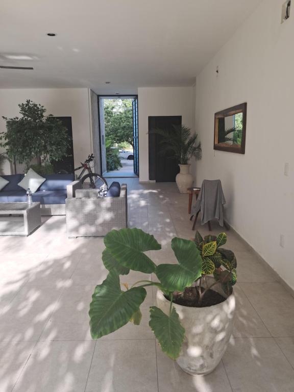 Antal Tulum - 5