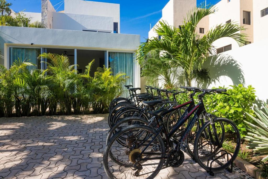Casa Pelagia Beachfront Luruxy Villa in Tulum - 5