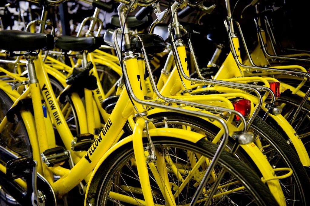 Sport és szabadidő