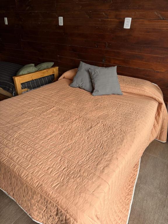 Dptos temporarios Benjamin - 5