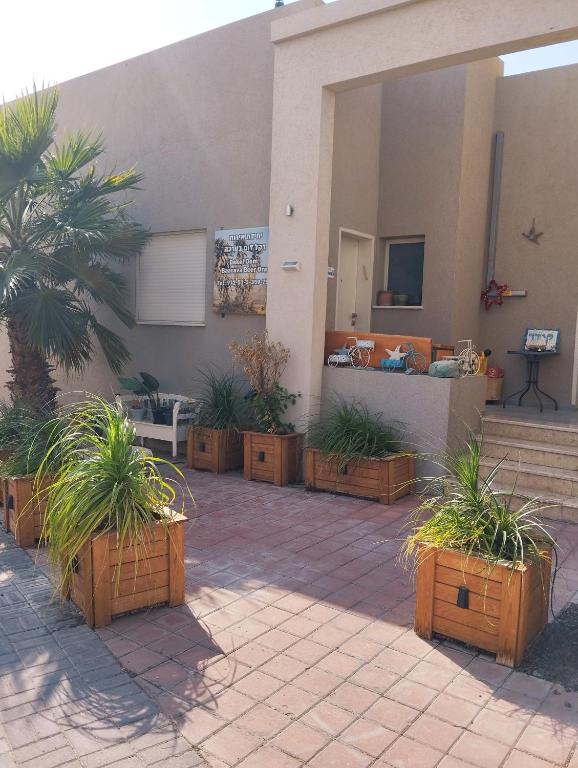 Ảnh 4