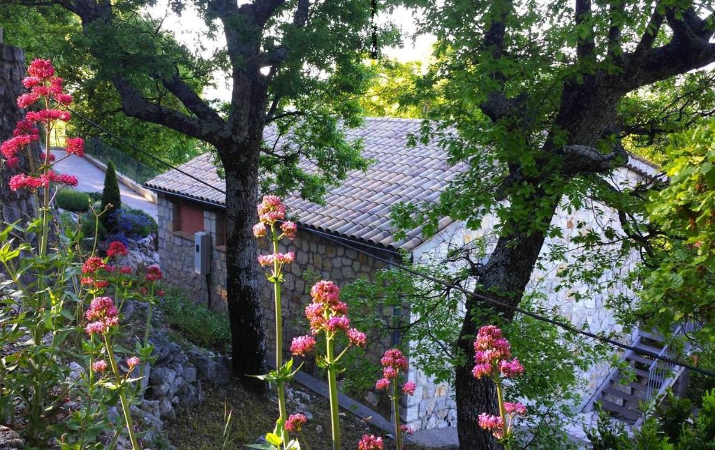 Le cheiron - 2