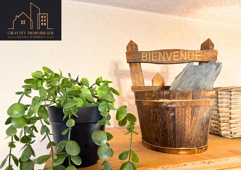Chaleureux 2 chambres, Morillon - 5