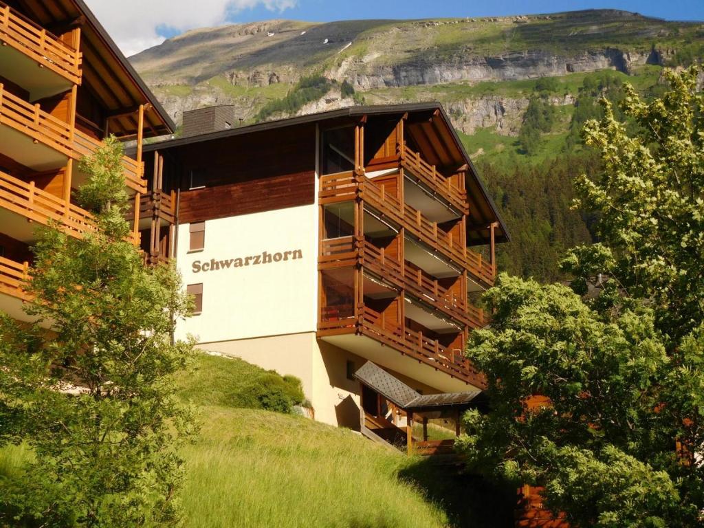 Schwarzhorn 3- komplett renoviert, tolle Aussicht! - 1