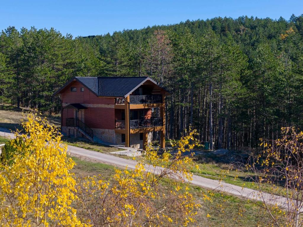 Vila Aleksandrija Zlatibor - 2