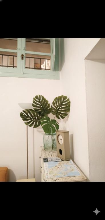Apartamento Las Canastas Cádiz Centro a pie de Catedral y playa - 2