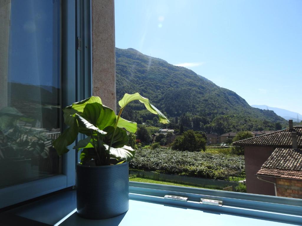 B&B Stella d'Oro - 4