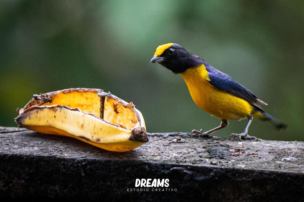 El Toro en Bicicleta - 4