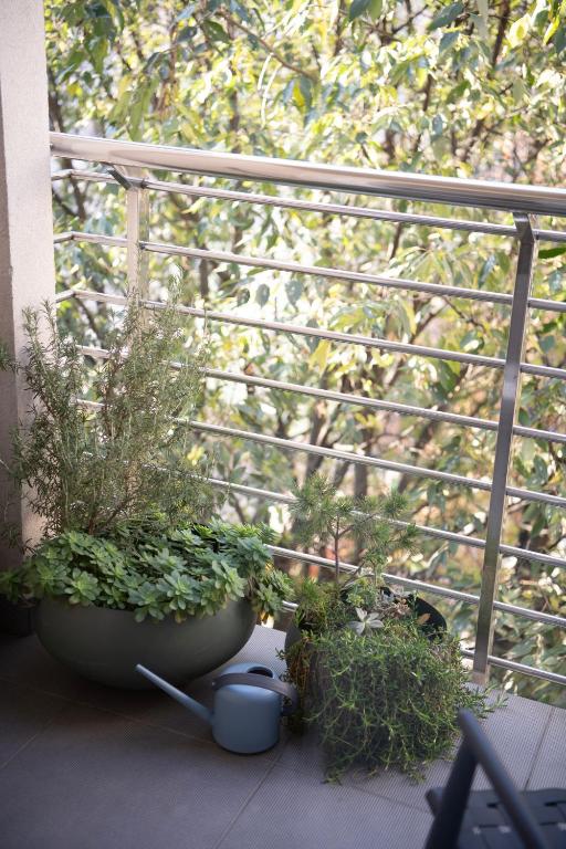 Warm Embrace Apartment - 3