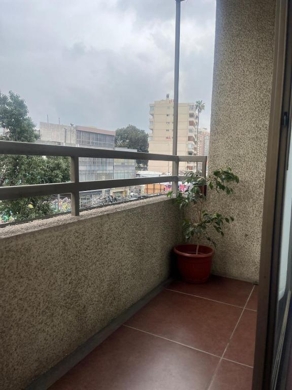 Amplio Departamento 3 dormitorios - central - 5