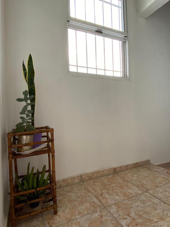 La Perla del Yuqueri - 4