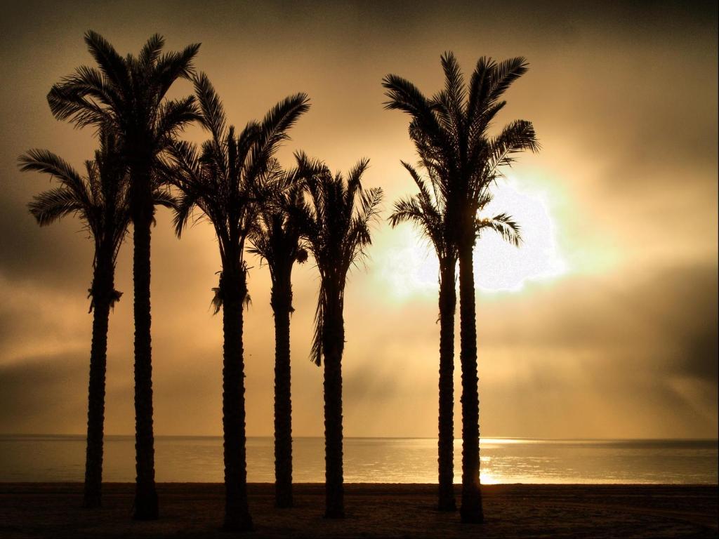 Apartamentos Estrella De Mar — Beach in Roquetas de Mar, Andalusia