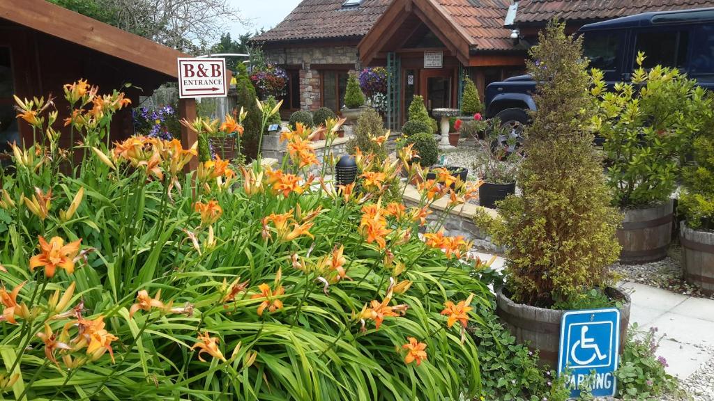 Bridge Farm Guesthouse rooms — Hotel in Bristol