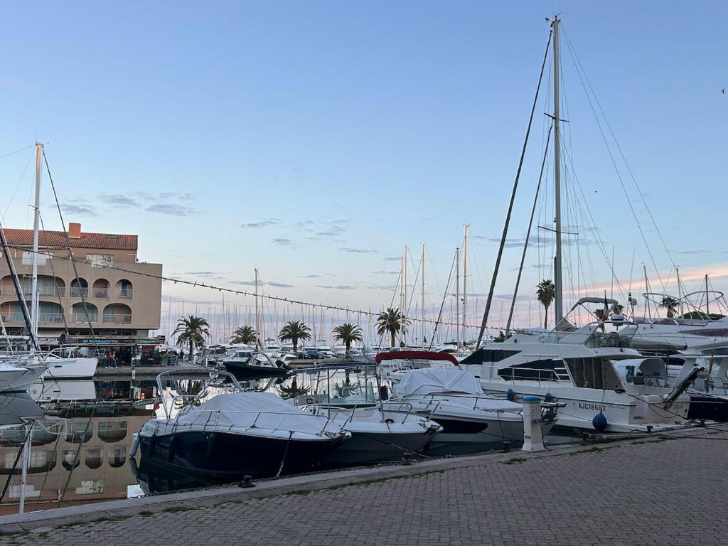 Cocon lumineux à 2 min du port et des restaurants - 3