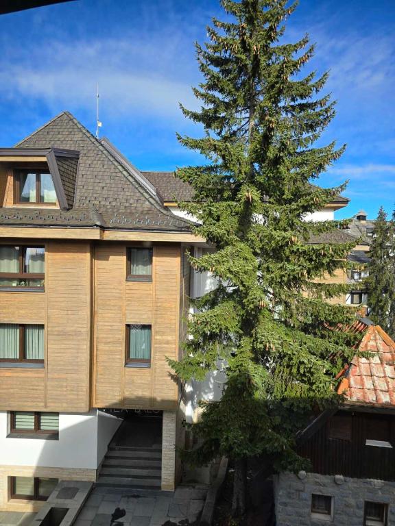 Apartman Leda - 2