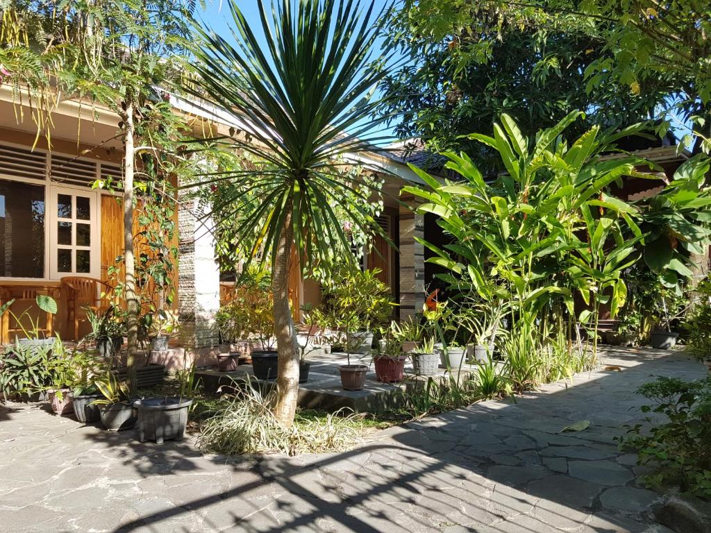 Garden, Omah Konco Yogyakarta in Yogyakarta