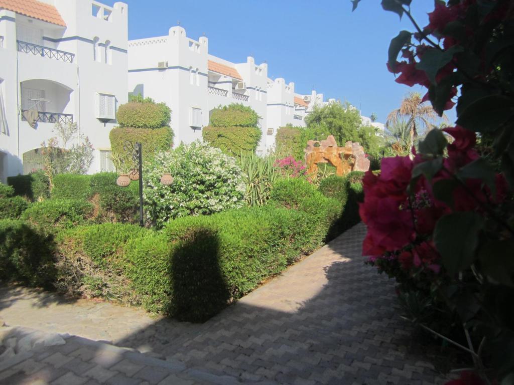 Surrounding environment