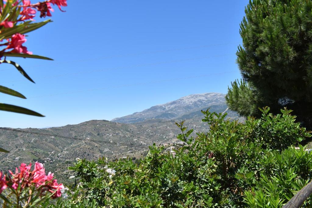 Finca La Jara with private Pool - 4