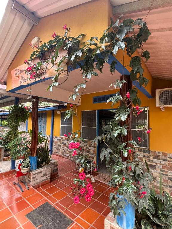 amanecer entre trinos y alas - 2