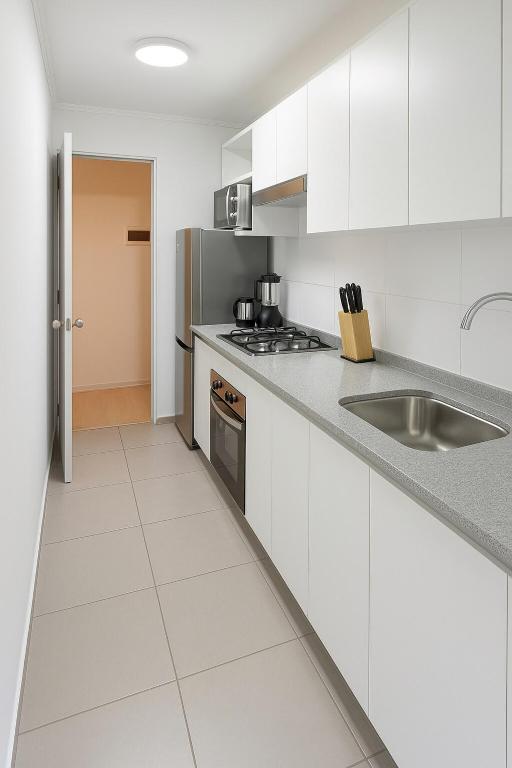 3D 2B apartment with parking in Concepción - 1