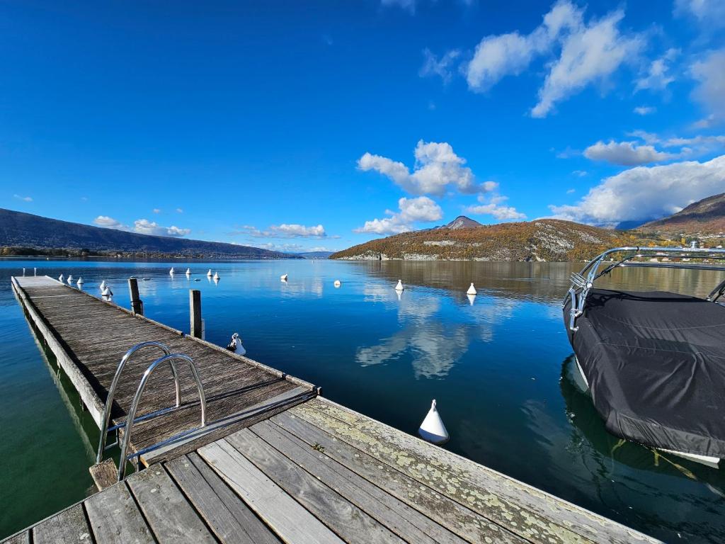 Studio Cosy avec Plage et Parking Privés au bord du Lac D'Annecy - 5