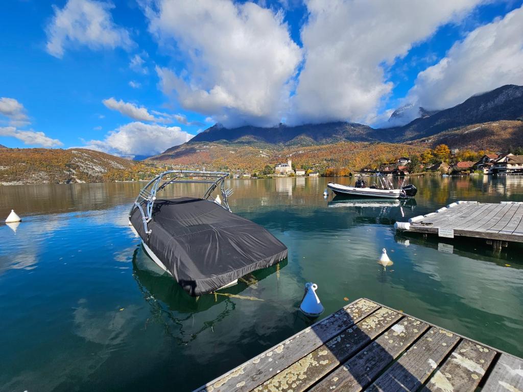 Studio Cosy avec Plage et Parking Privés au bord du Lac D'Annecy - 2