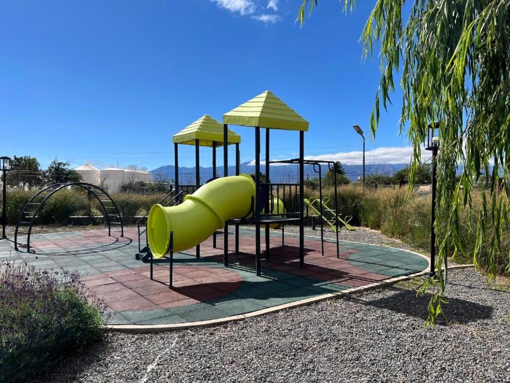 Vides de Cafayate - 5