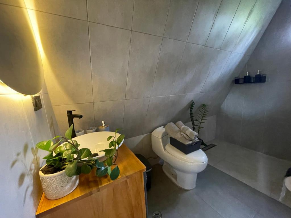 Cabaña Raices Habitat - 3