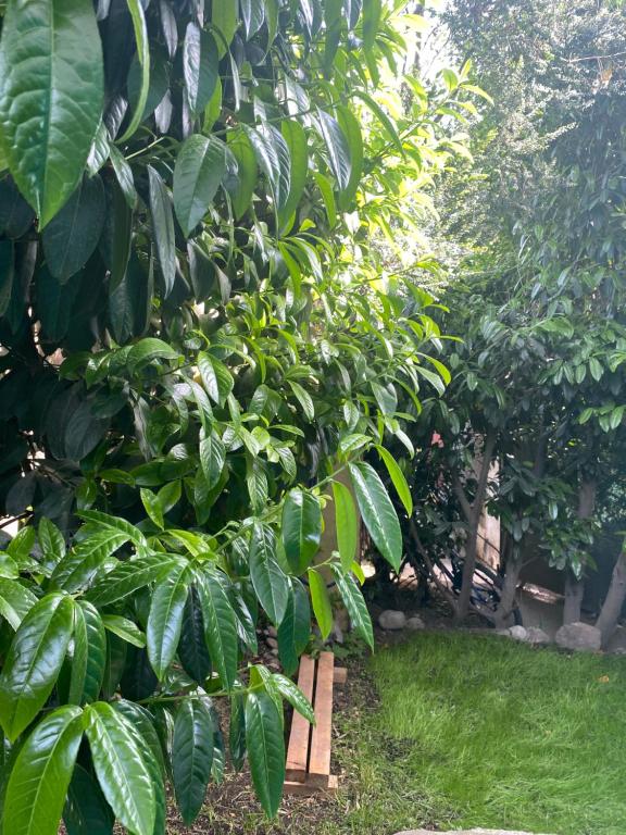 Lugar bonito casa de dos habitaciones - 3