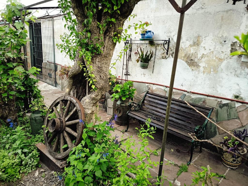 Casa ROSA garage - 4