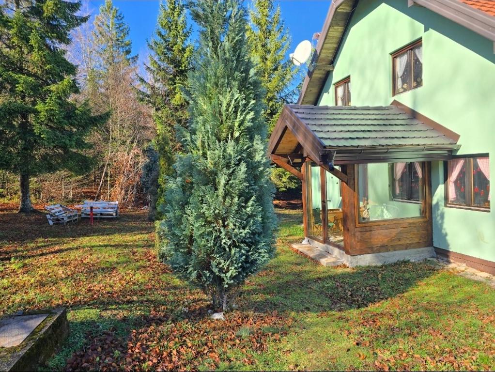 Šumska bajka - 3