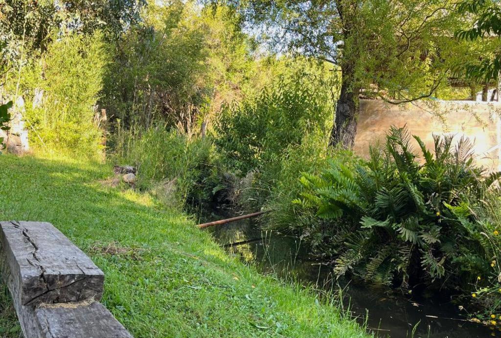 Cabañas Doña Mónica - 2