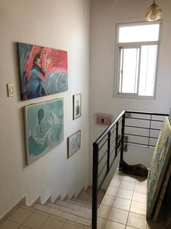 Mendoza Centrica relax - 5