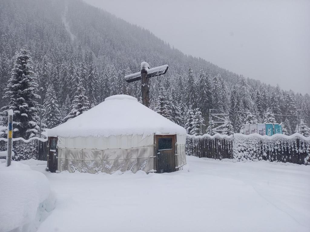 Shima-Davos - 3