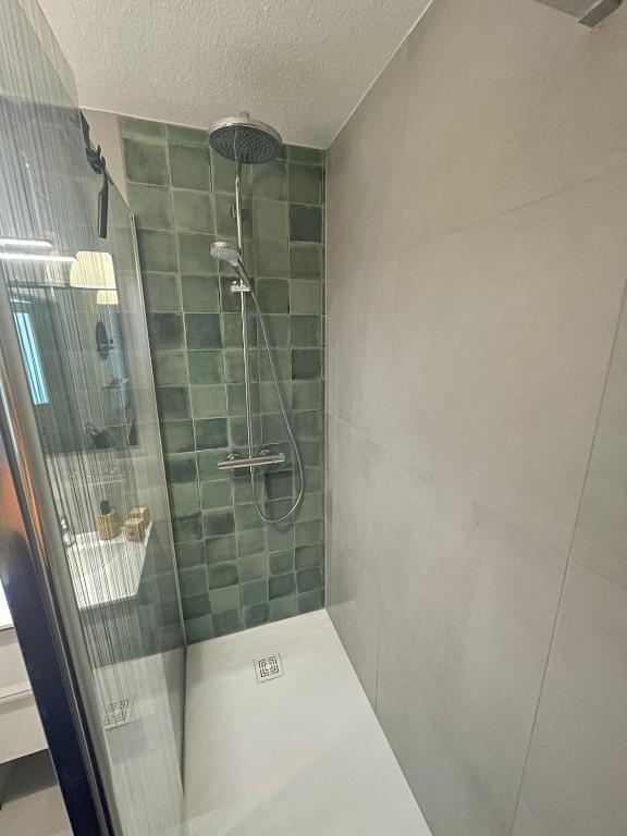 Bord du Canal 134 Logement Terrasse Mulhouse - 3
